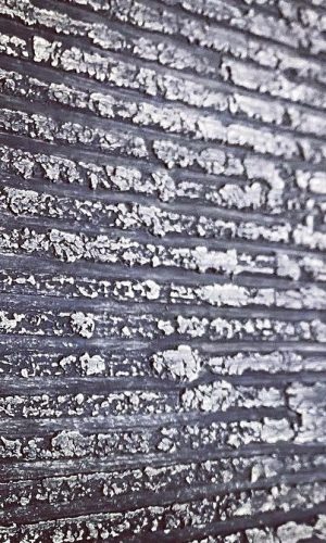 IMG_5624